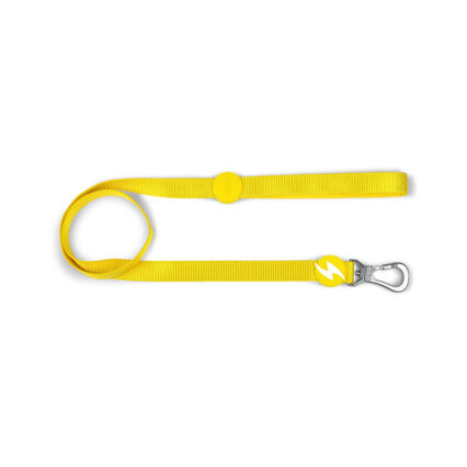 Dashi Solid Yellow Leash
