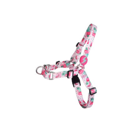 Dashi Flamingo Front Harness