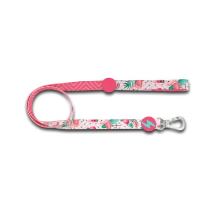 Dashi Flamingo Leash