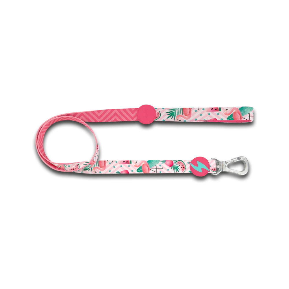 Dashi Flamingo Leash