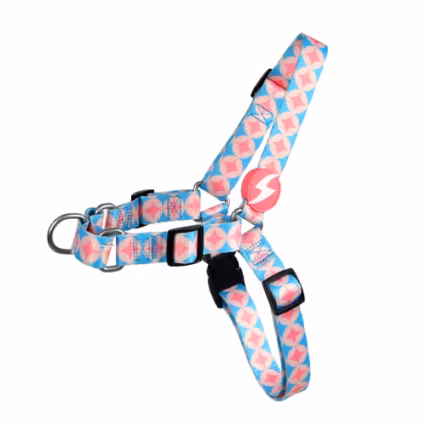 Dashi Coral Front Harness