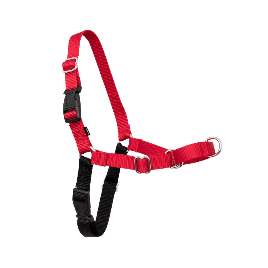 Peitoral EasyWalk XS